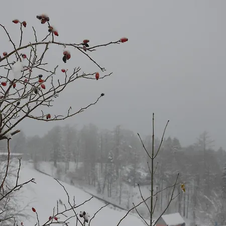 Harzabenteuer - Biken, Wandern, Tierliebe & Stil