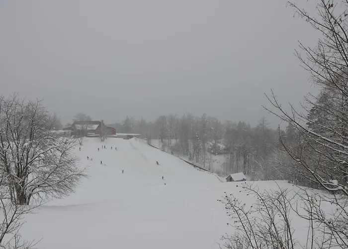 Daire Harzabenteuer - Biken, Wandern, Tierliebe & Stil