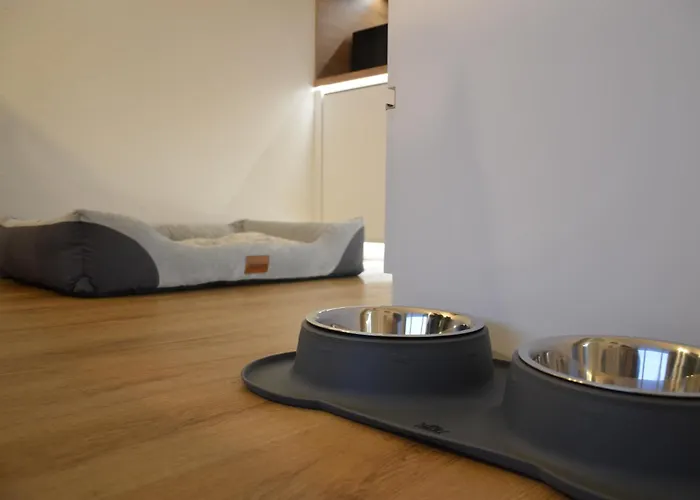 Harzabenteuer - Biken, Wandern, Tierliebe & Stil Daire *