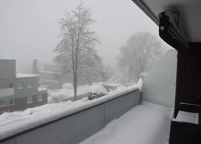 Daire Harzabenteuer - Biken, Wandern, Tierliebe & Stil Sankt Andreasberg