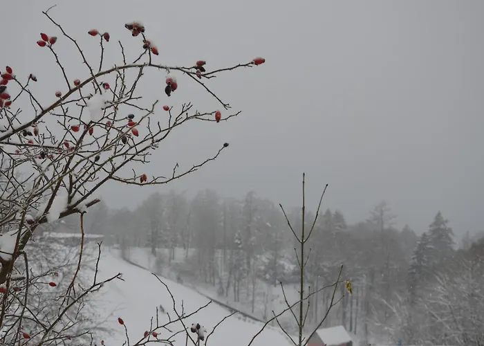 Harzabenteuer - Biken, Wandern, Tierliebe & Stil