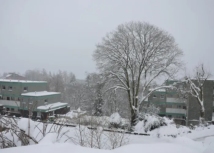 Harzabenteuer - Biken, Wandern, Tierliebe & Stil Daire Sankt Andreasberg